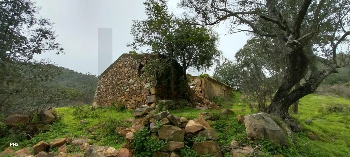 Terreno para Venda em Alferce Foto 1