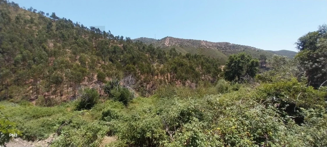 Terreno para Venda em Alferce Foto 10