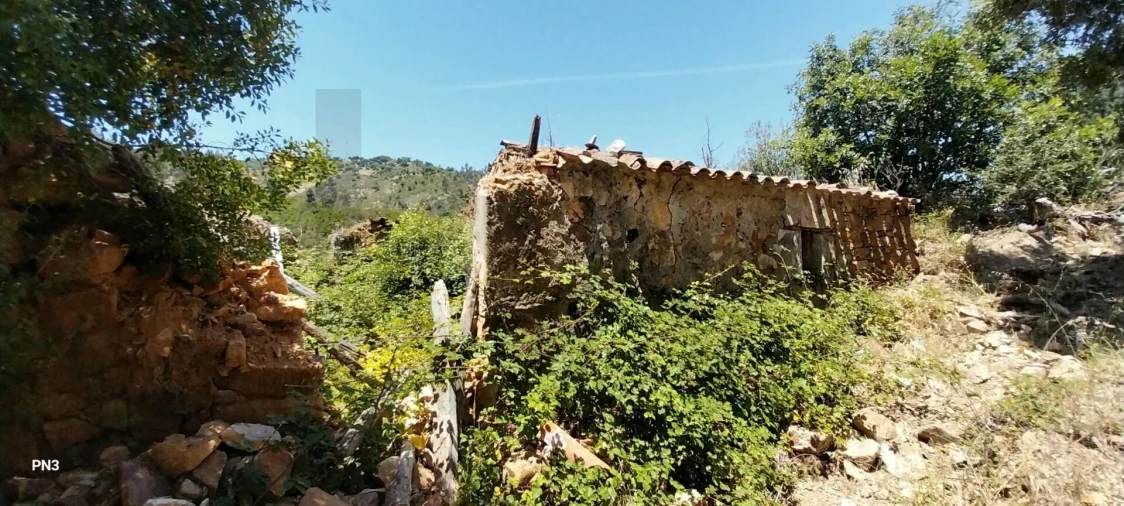 Terreno para Venda em Alferce Foto 4