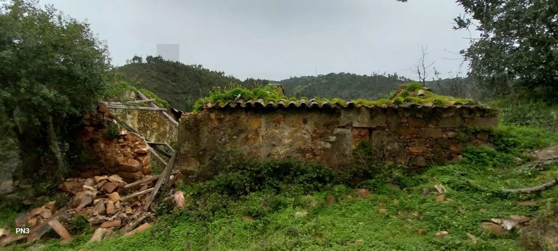 Terreno para Venda em Alferce Foto 7
