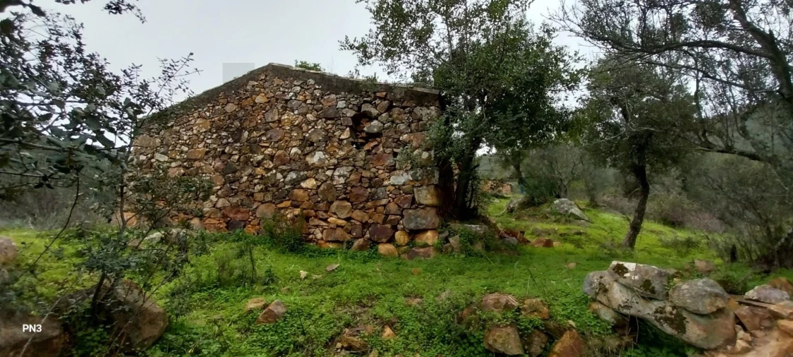 Terreno para Venda em Alferce Foto 13