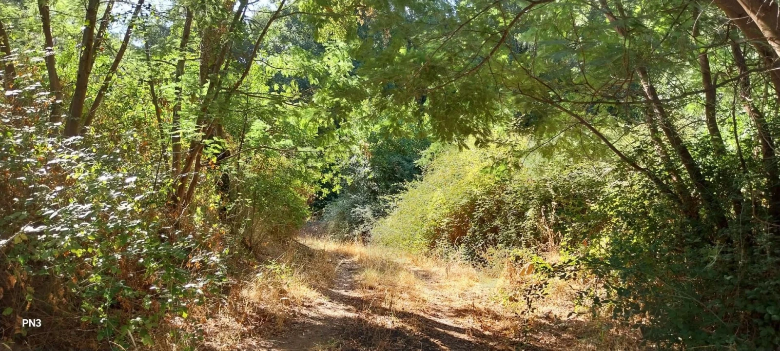 Terreno para Venda em Alferce Foto 23