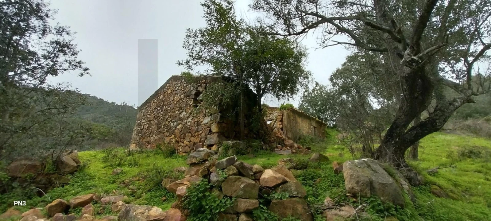 Terreno para Venda em Alferce Foto 1