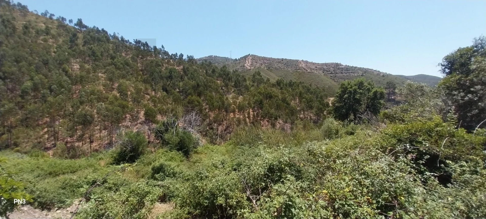 Terreno para Venda em Alferce Foto 10
