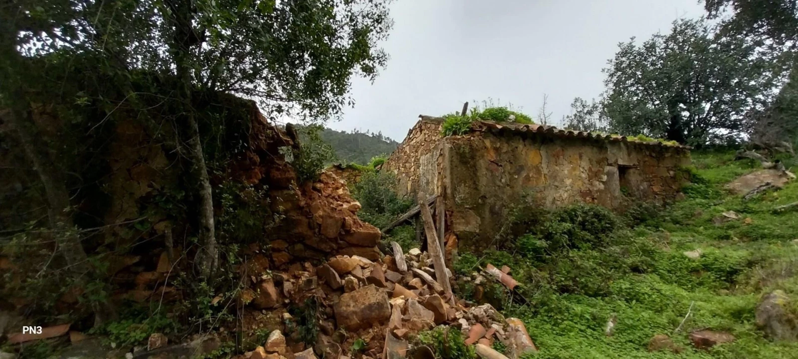 Terreno para Venda em Alferce Foto 8