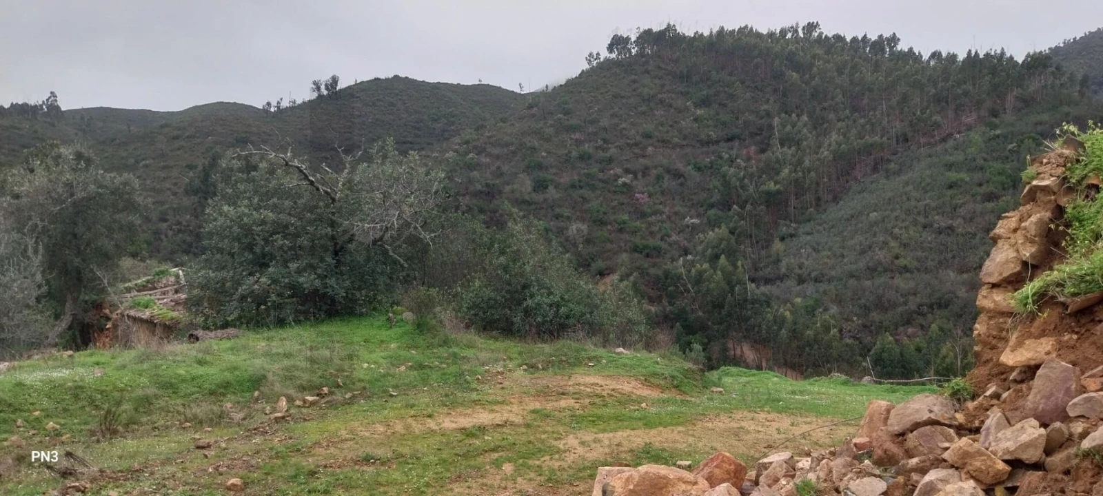 Terreno para Venda em Alferce Foto 11