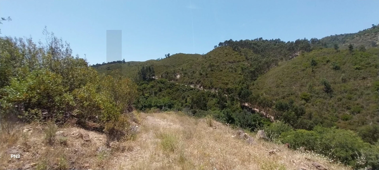Terreno para Venda em Alferce Foto 13