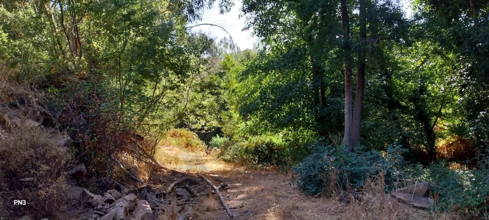 Terreno para Venda em Alferce Foto 21