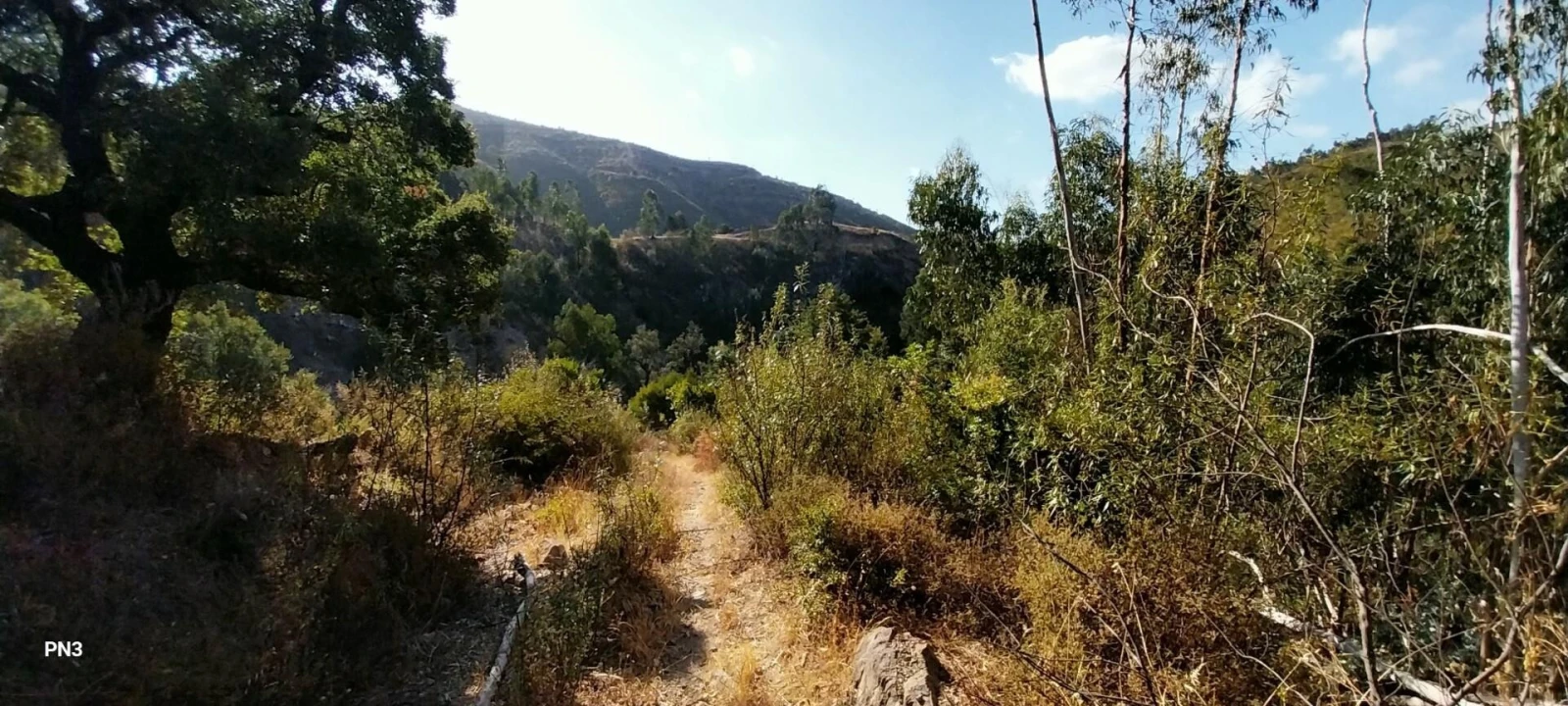 Terreno para Venda em Alferce Foto 13