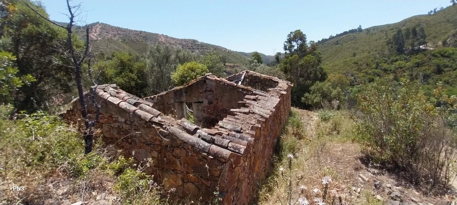 Terreno para Venda em Alferce Foto 1