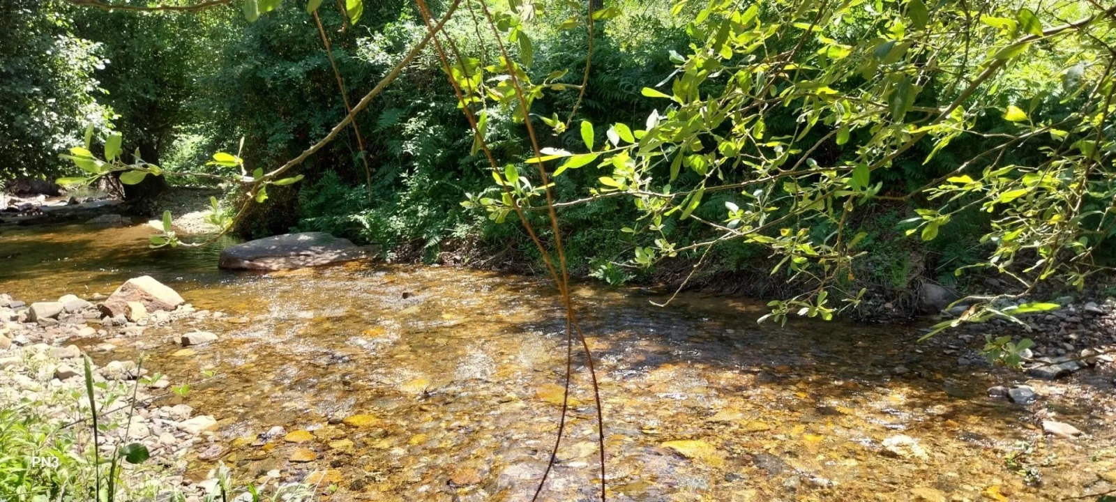 Terreno para Venda em Alferce Foto 15