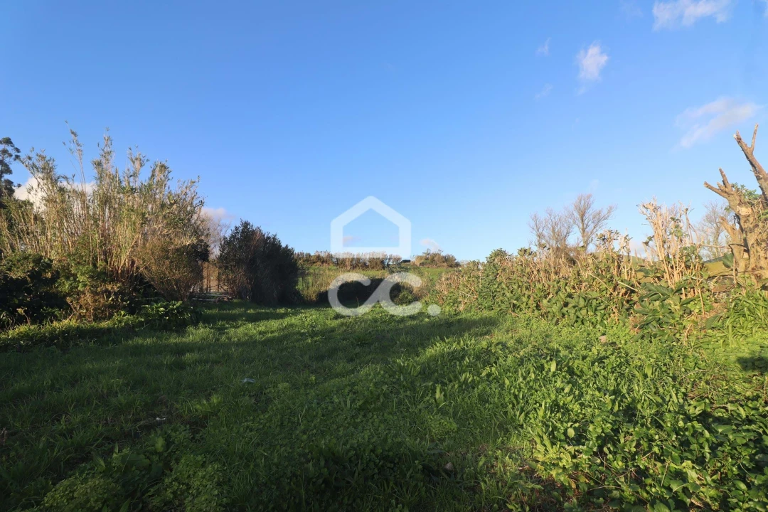 Moradia T4 para Venda em Arrifes Foto 15