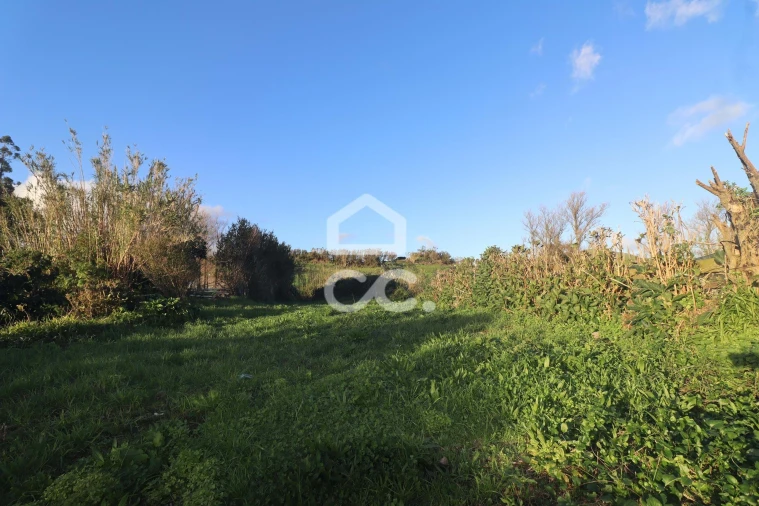 Moradia T4 para Venda em Arrifes Foto 15