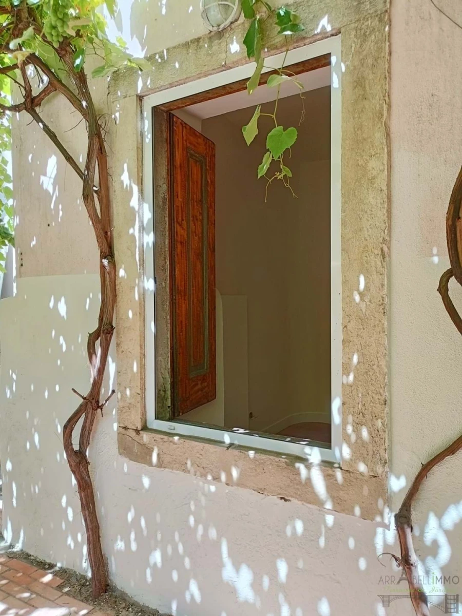 Negócio para Trespasse em Estrela Foto 10