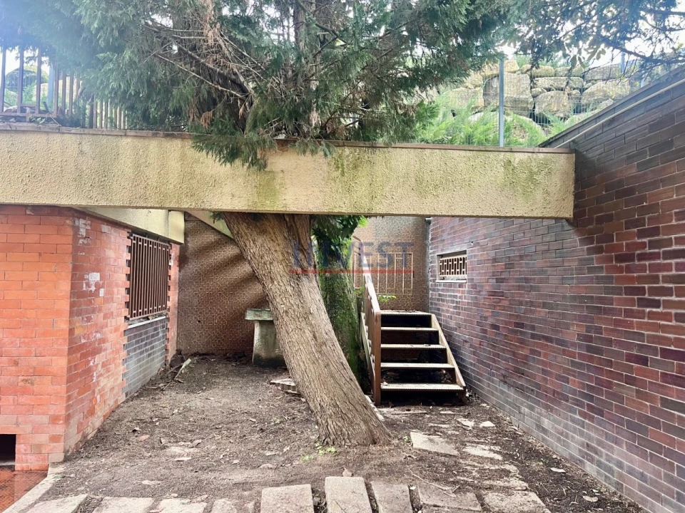 Terreno para Venda em Paranhos Foto 35