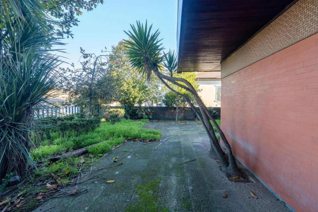 Terreno para Venda em Paranhos Foto 21