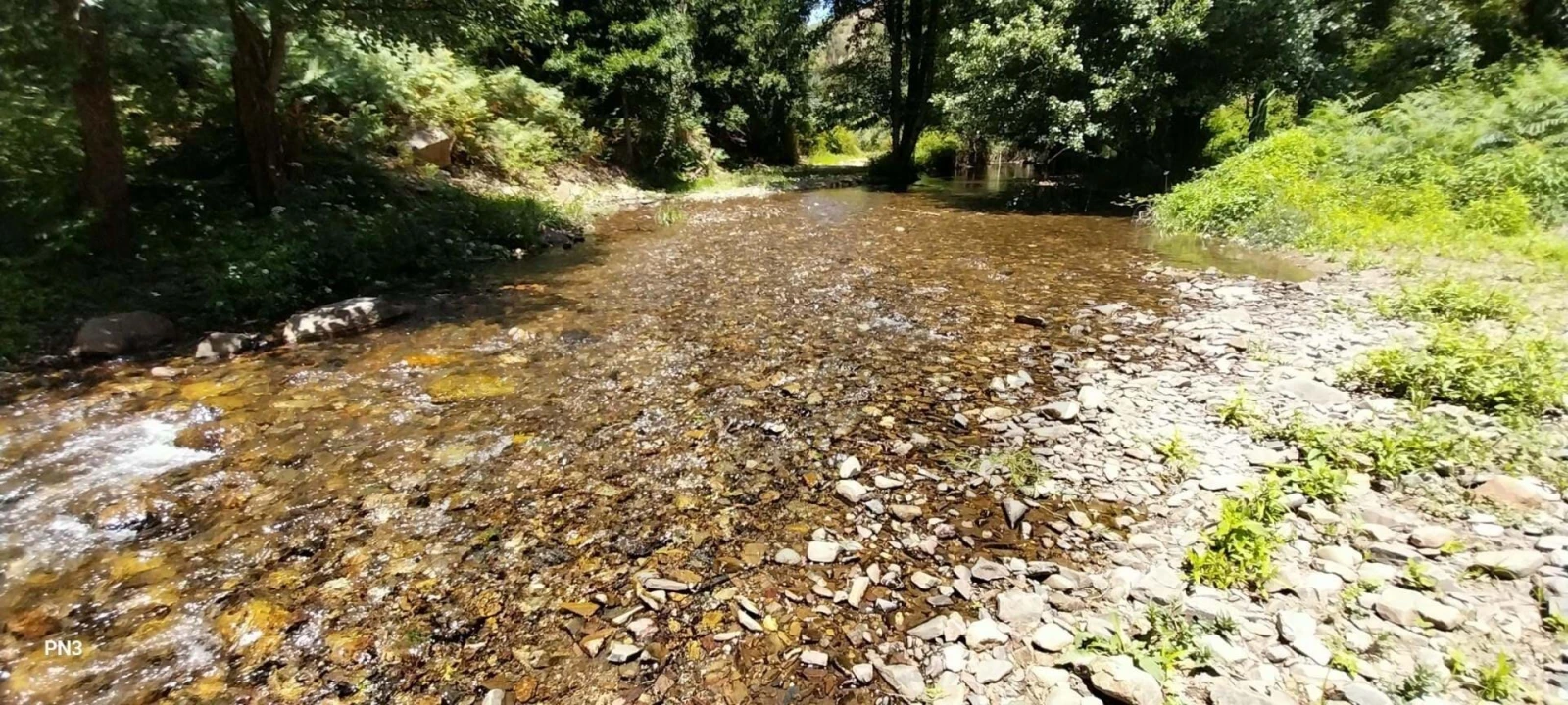 Terreno para Venda em Alferce Foto 18