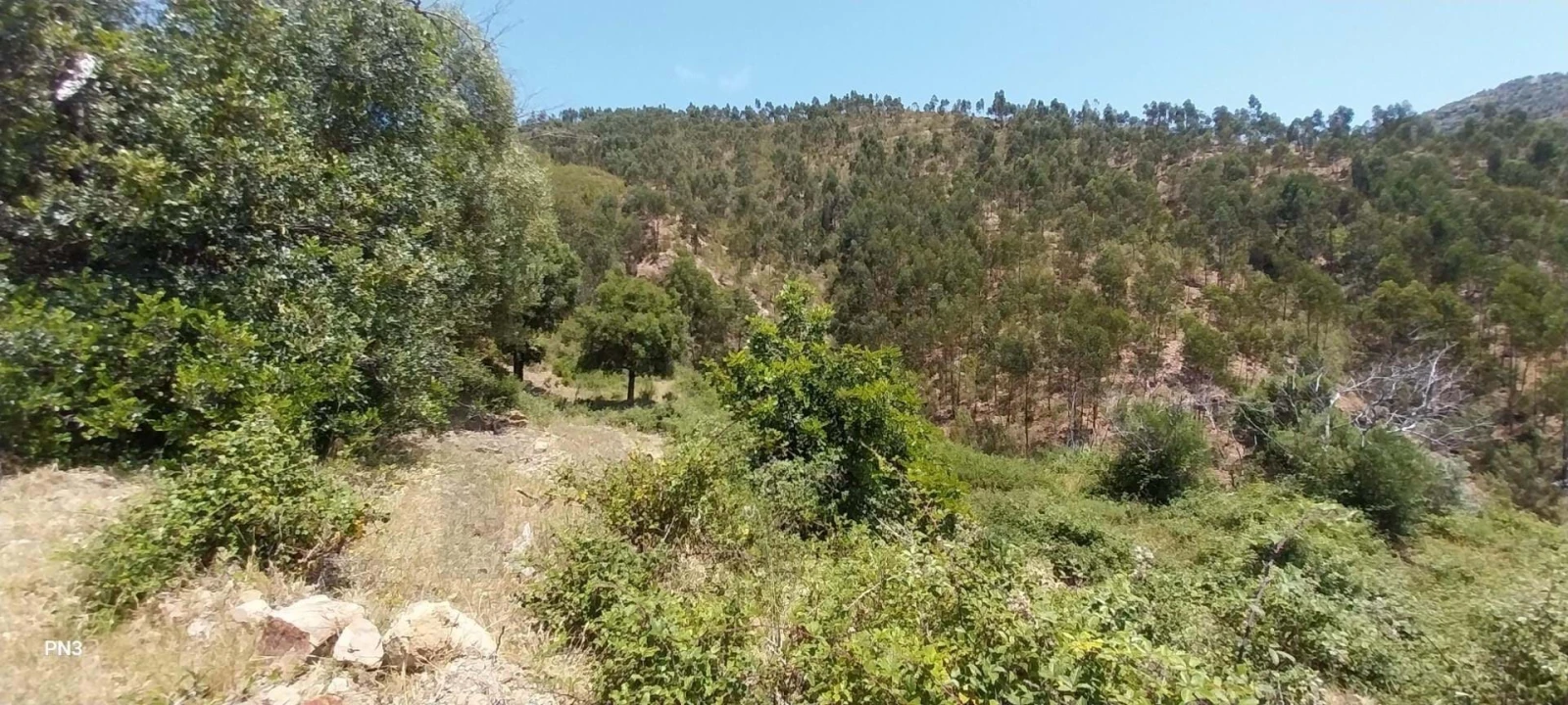 Terreno para Venda em Alferce Foto 8