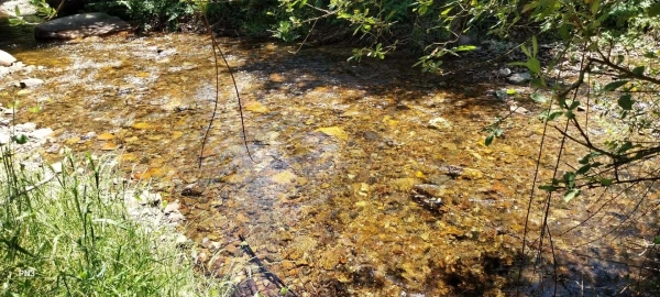 Terreno para Venda em Alferce