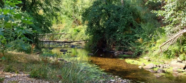 Terreno para Venda em Monchique