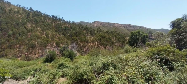 Terreno para Venda em Alferce
