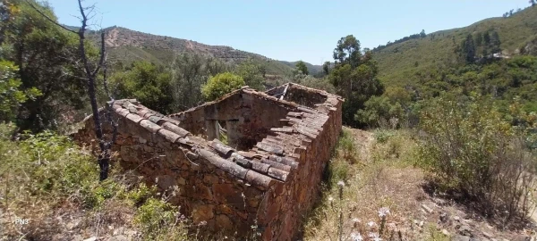 Terreno para Venda em Alferce