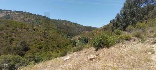 Terreno para Venda em Alferce