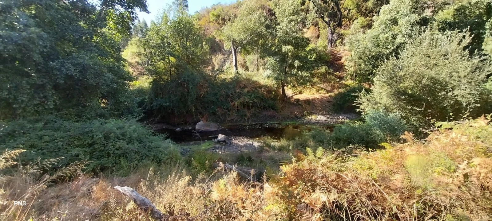 Terreno para Venda em Alferce Foto 19
