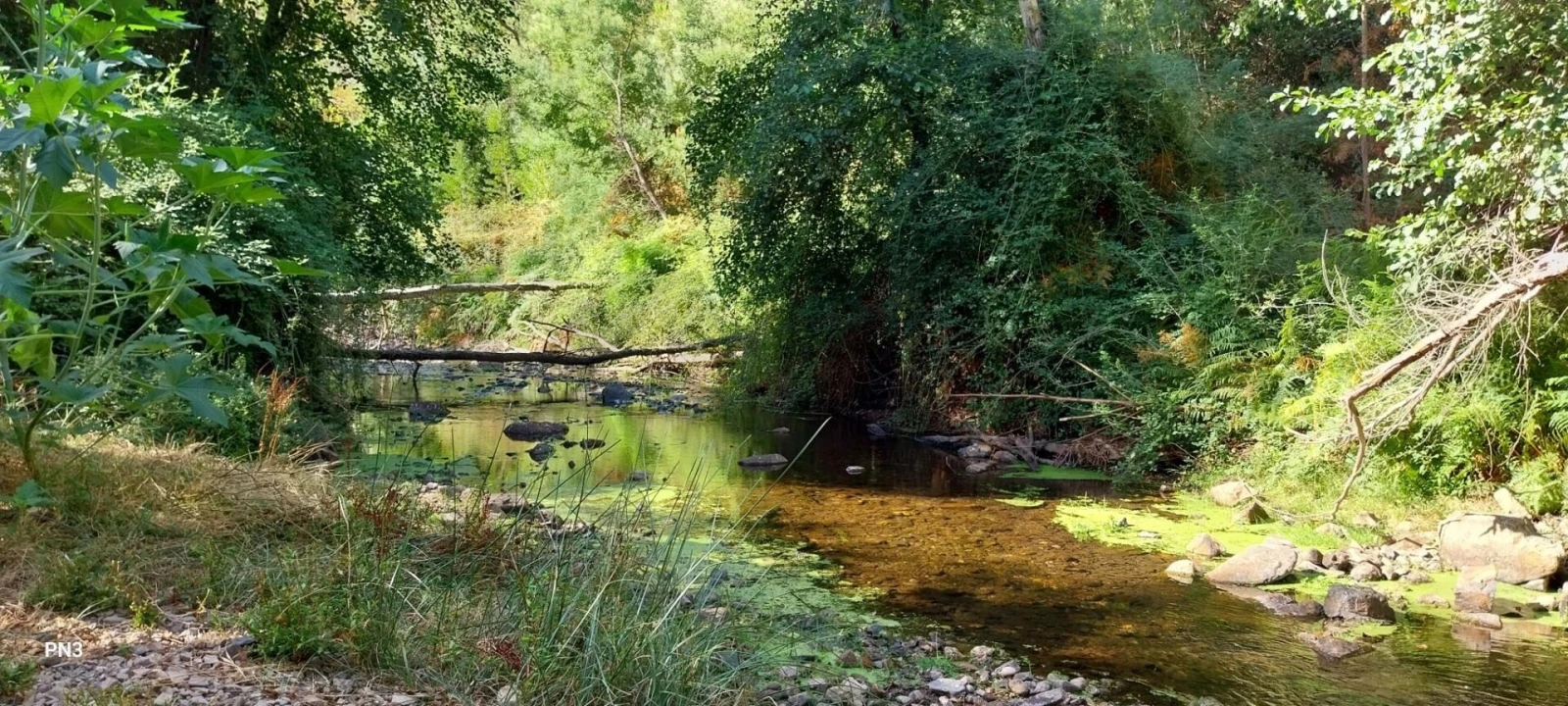 Terreno para Venda em Monchique Foto 1