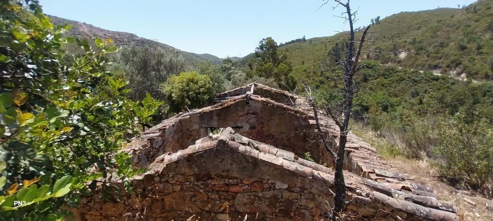 Terreno para Venda em Alferce Foto 2