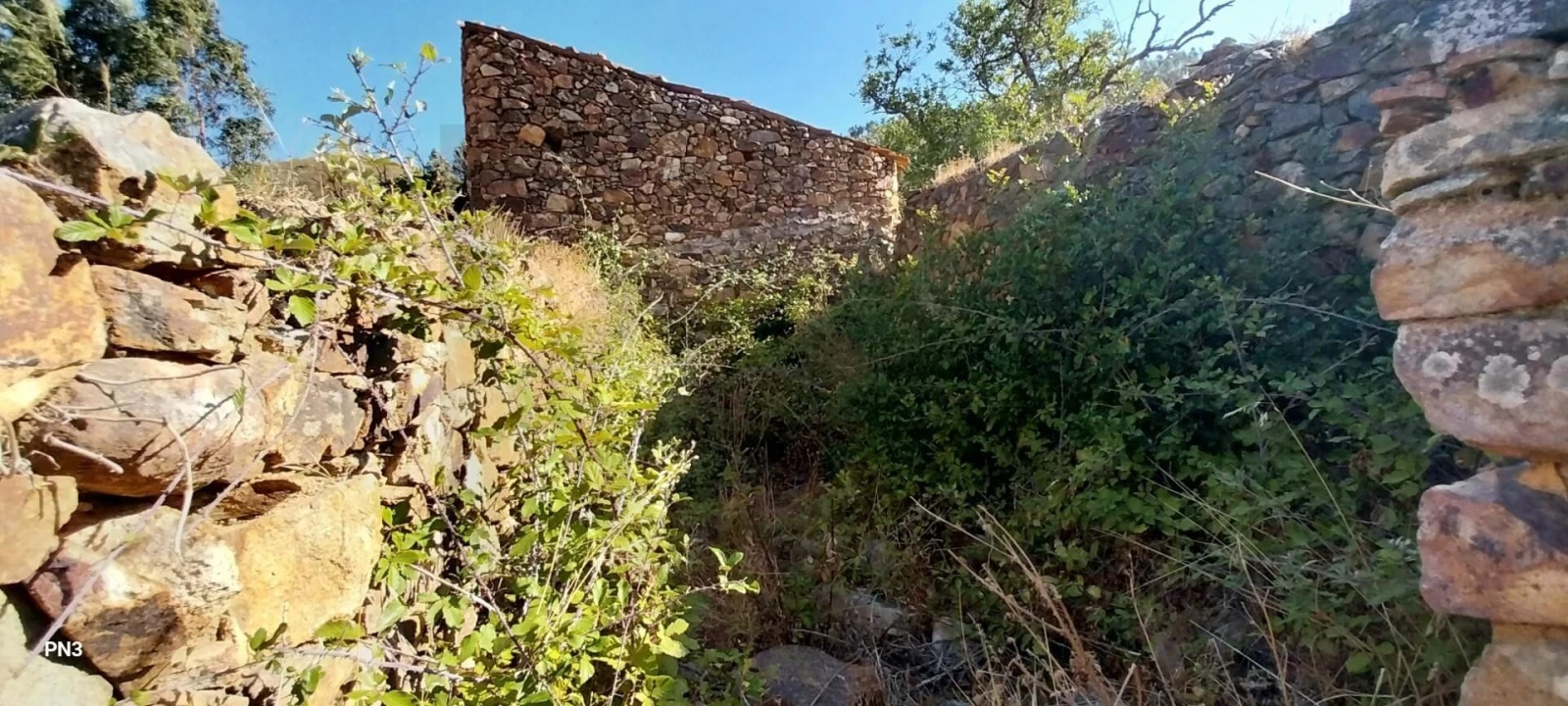 Terreno para Venda em Alferce Foto 6