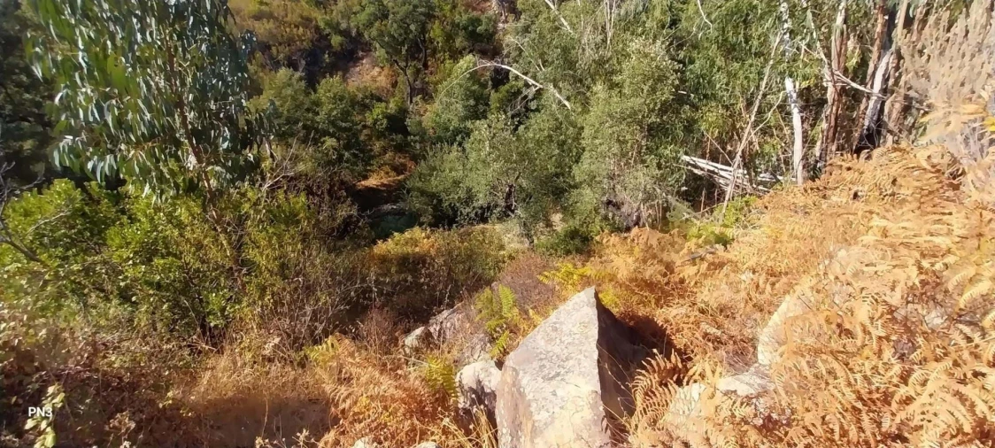 Terreno para Venda em Alferce Foto 12