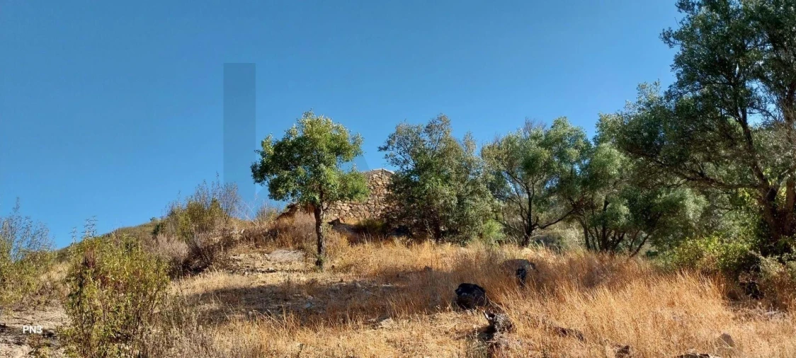 Terreno para Venda em Alferce Foto 18