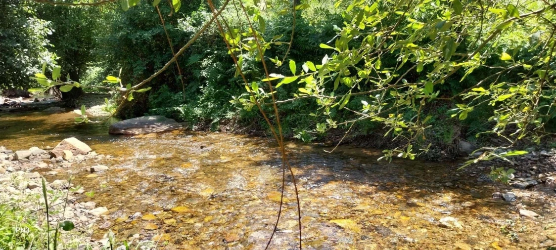 Terreno para Venda em Alferce Foto 15