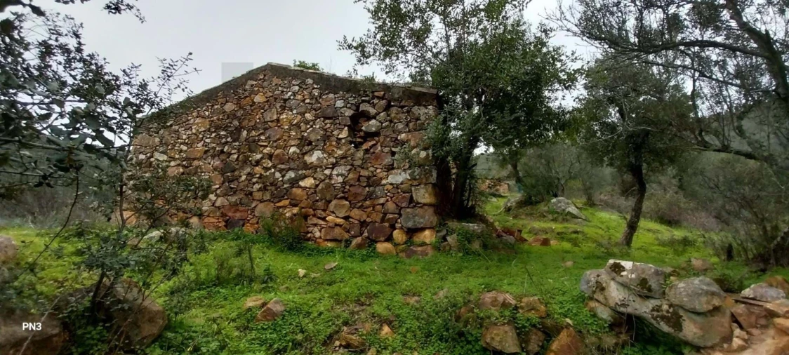 Terreno para Venda em Alferce Foto 13