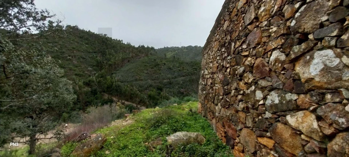 Terreno para Venda em Alferce Foto 12
