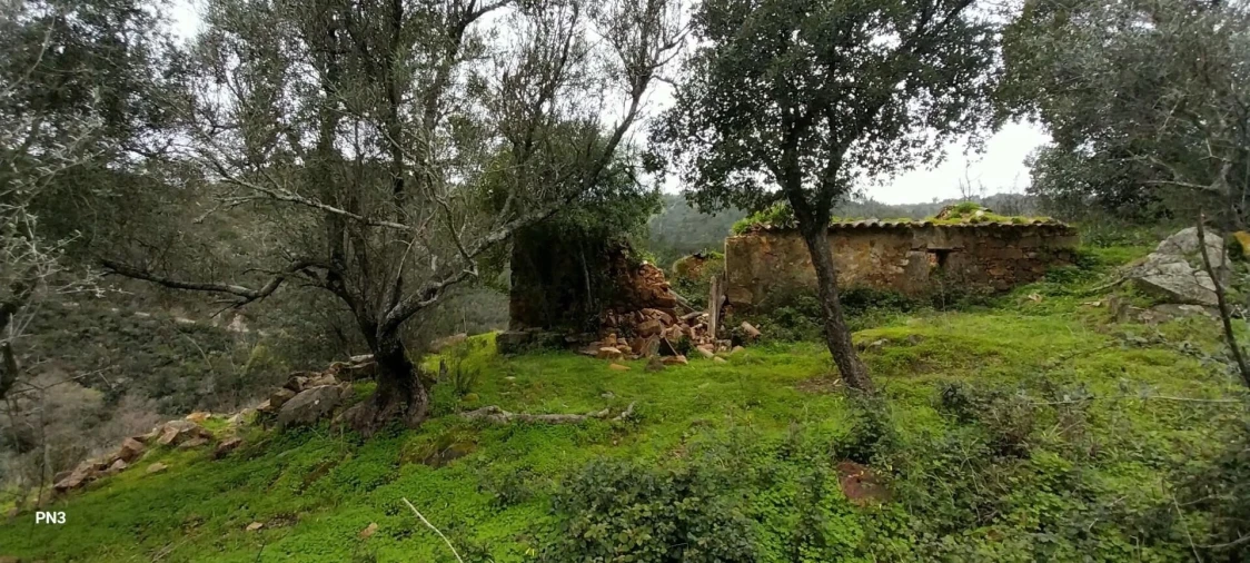 Terreno para Venda em Alferce Foto 3