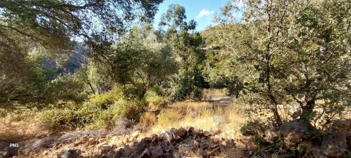 Terreno para Venda em Alferce Foto 17