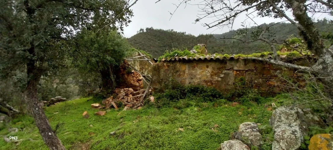 Terreno para Venda em Alferce Foto 4