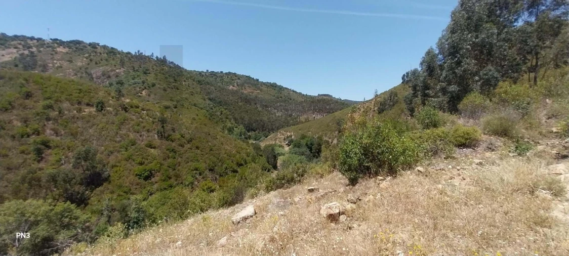 Terreno para Venda em Alferce Foto 11
