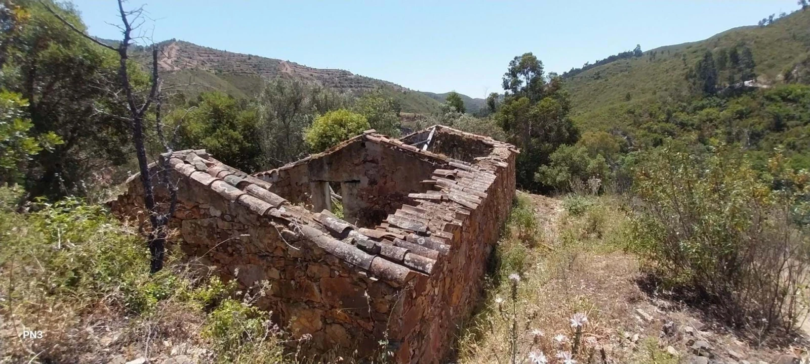 Terreno para Venda em Alferce Foto 1