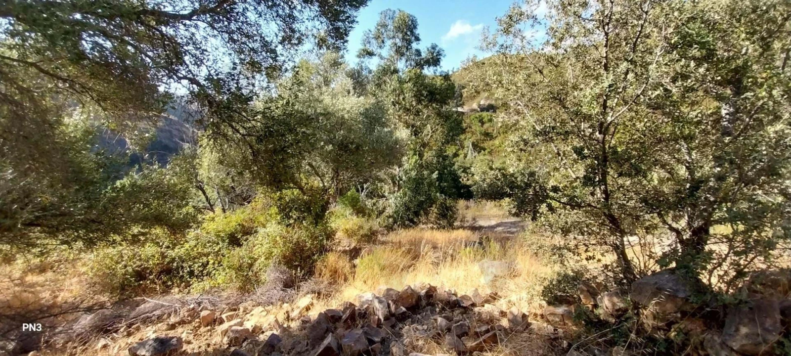 Terreno para Venda em Alferce Foto 17
