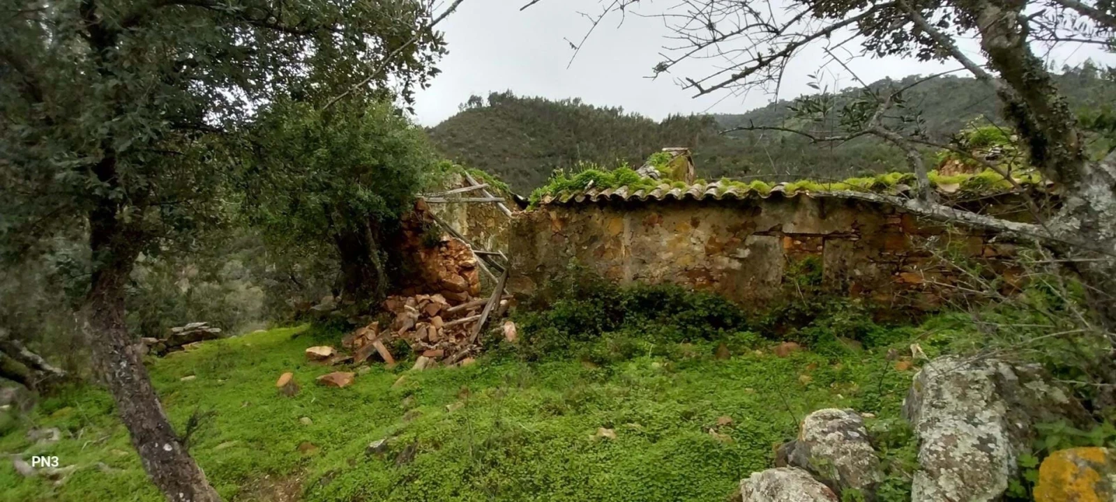 Terreno para Venda em Alferce Foto 4