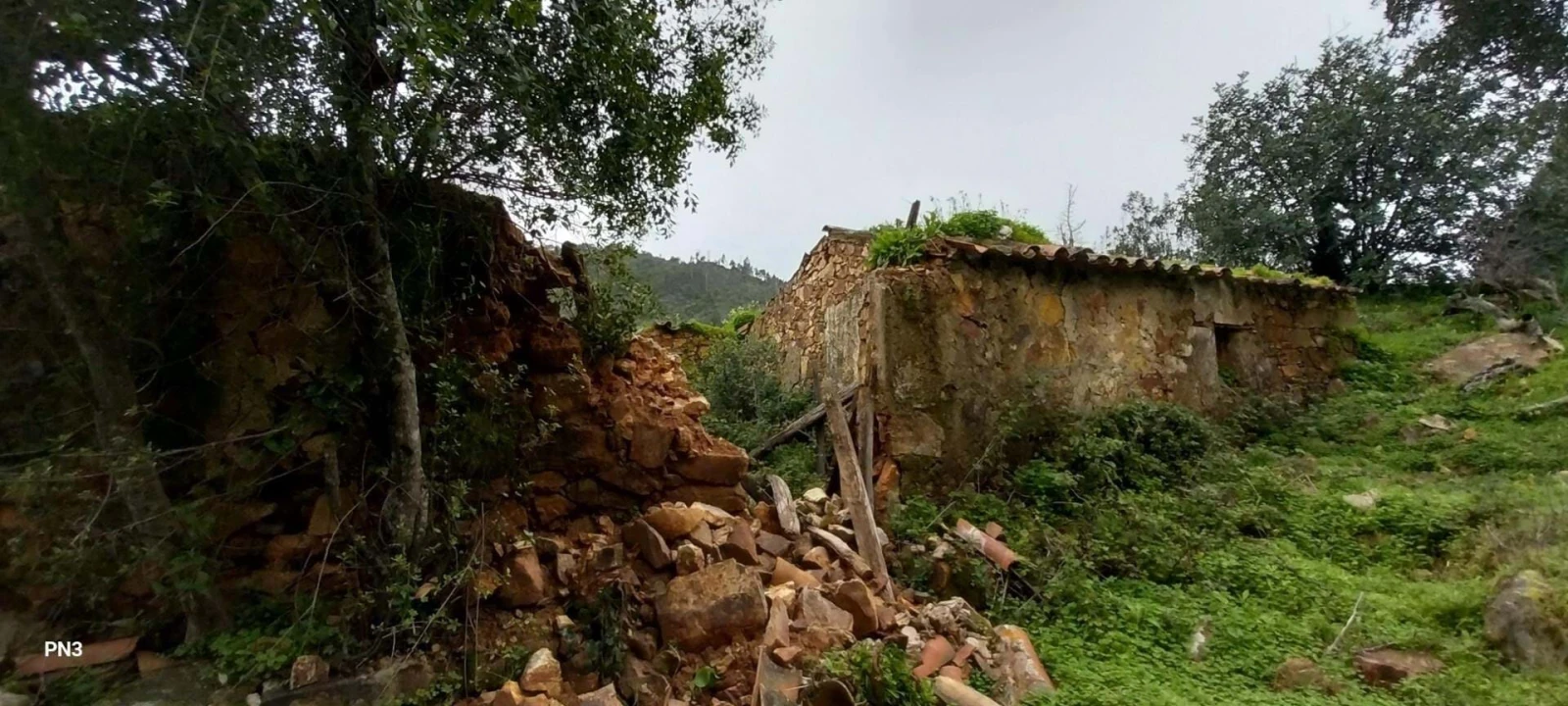 Terreno para Venda em Alferce Foto 8