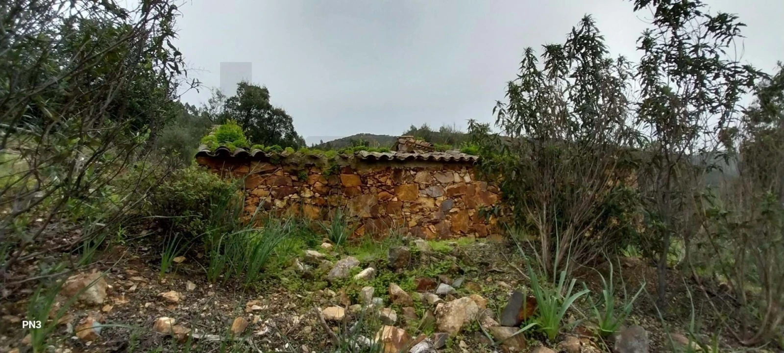 Terreno para Venda em Alferce Foto 5