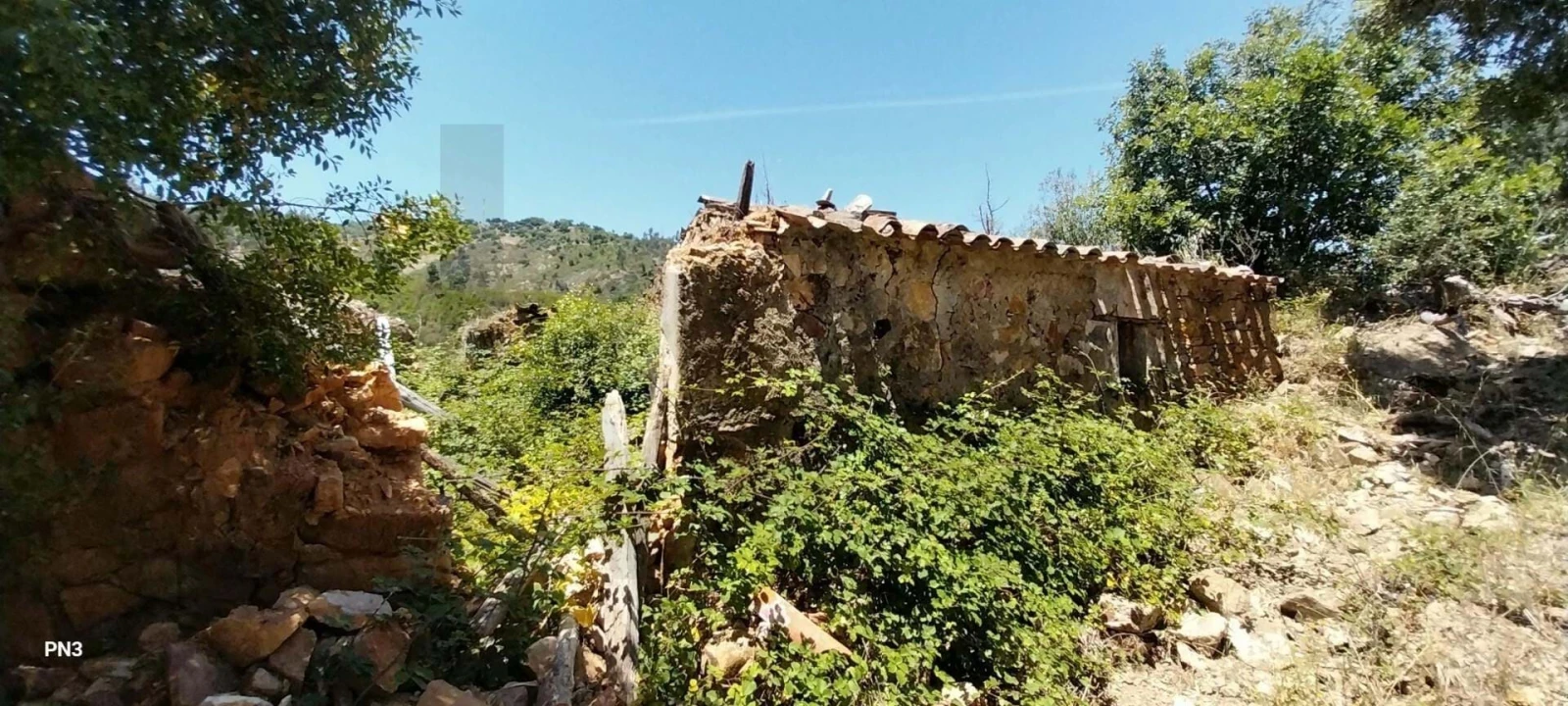 Terreno para Venda em Alferce Foto 4