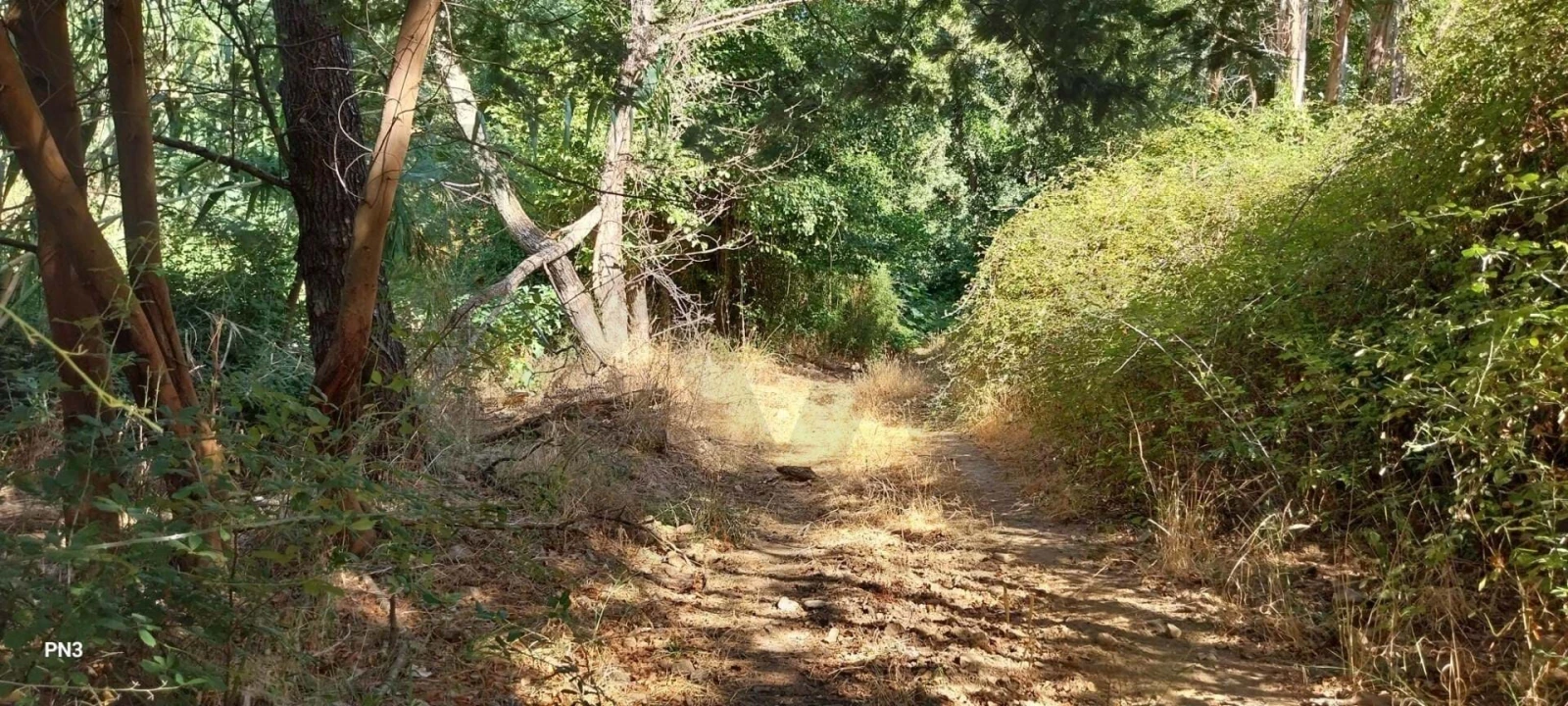 Terreno para Venda em Alferce Foto 22
