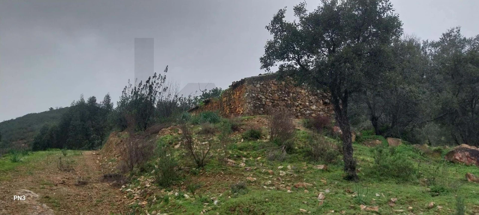 Terreno para Venda em Alferce Foto 6