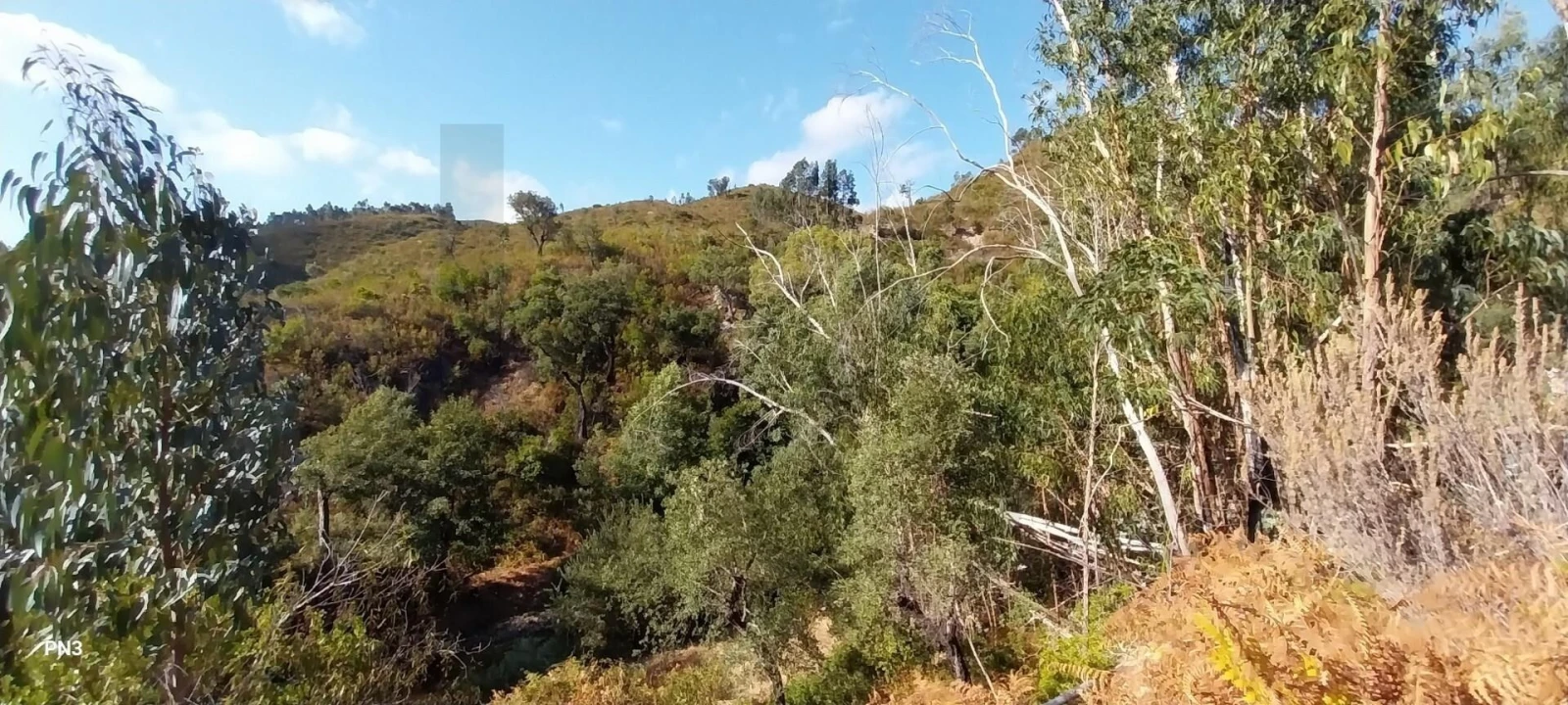 Terreno para Venda em Alferce Foto 11