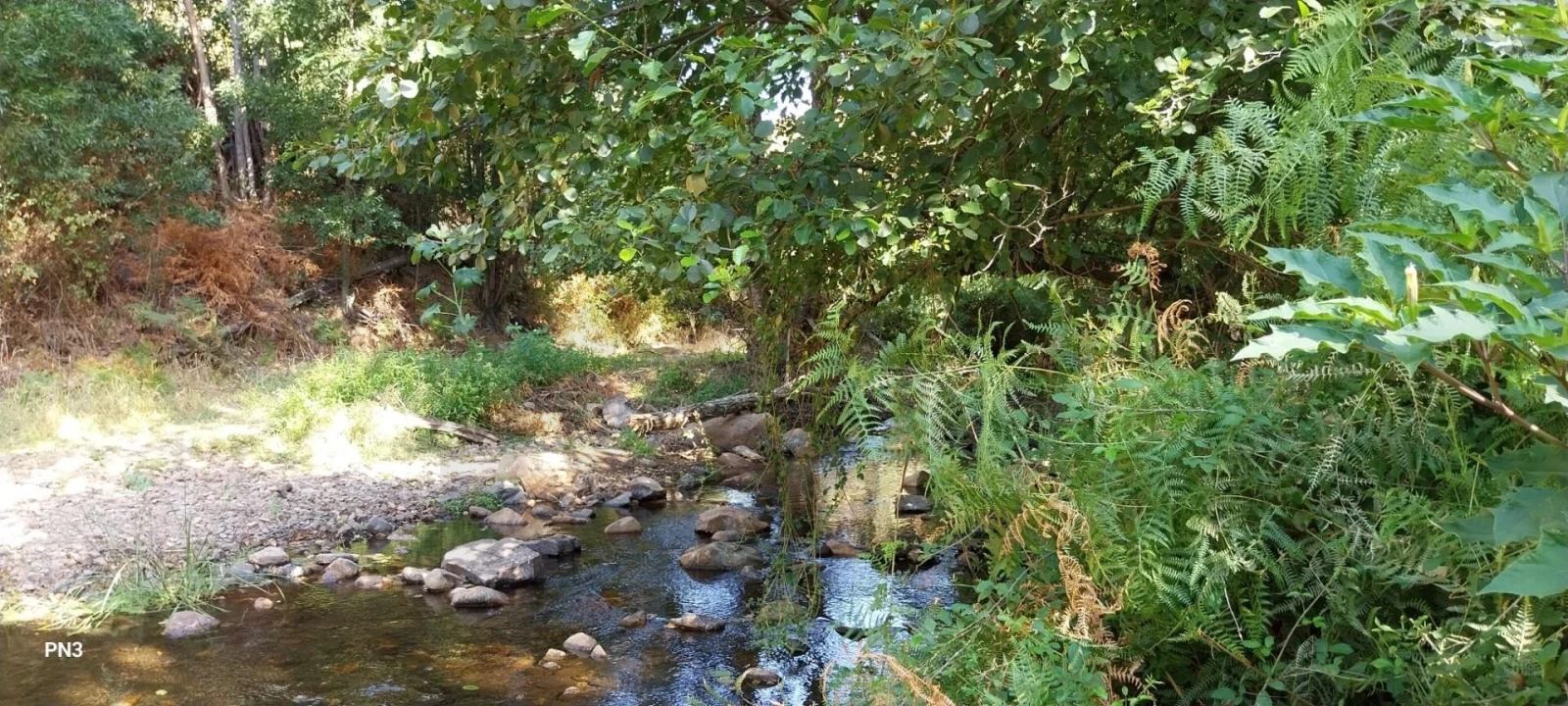 Terreno para Venda em Monchique Foto 20